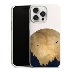 Twee vogels en de maan