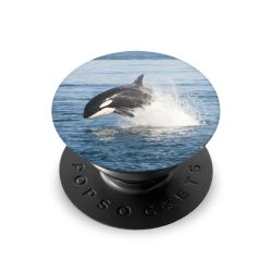 PopSockets PopGrip  weiss