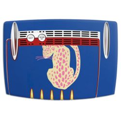 Foils for Smart Home matt