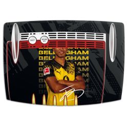 Foils for Smart Home matt