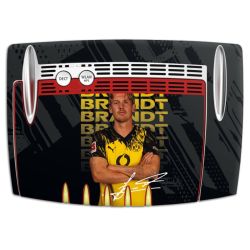 Foils for Smart Home matt