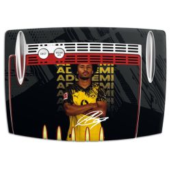 Foils for Smart Home matt