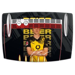 Foils for Smart Home matt