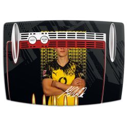 Foils for Smart Home matt