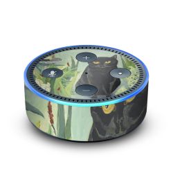 Foils for Smart Home matt