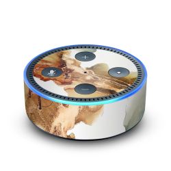 Foils for Smart Home matt