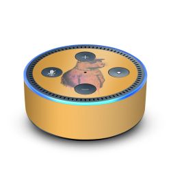 Foils for Smart Home matt