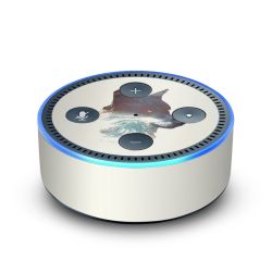 Foils for Smart Home matt
