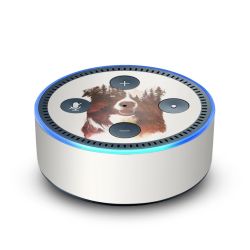 Foils for Smart Home matt