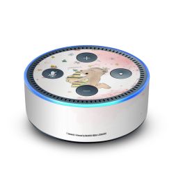 Foils for Smart Home matt