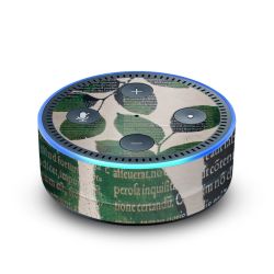 Foils for Smart Home matt