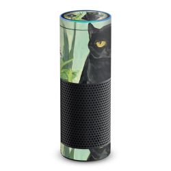 Foils for Smart Home matt