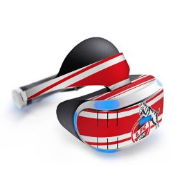 Folien für Spielekonsolen matt