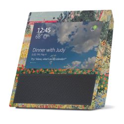 Foils for Smart Home matt