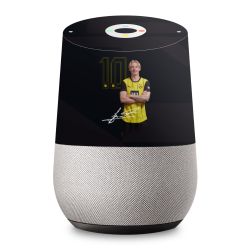 Foils for Smart Home matt