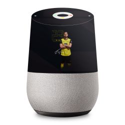 Foils for Smart Home matt