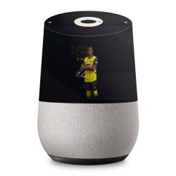 Foils for Smart Home matt