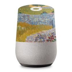 Foils for Smart Home matt