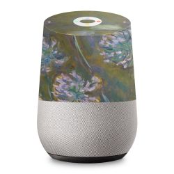 Foils for Smart Home matt