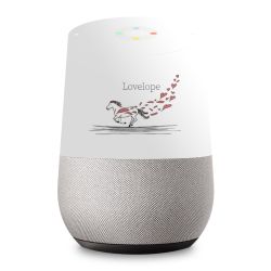 Foils for Smart Home matt