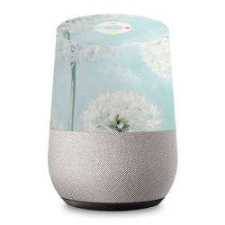 Foils for Smart Home matt