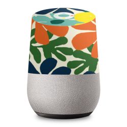 Foils for Smart Home matt