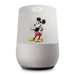 Foils for Smart Home matt