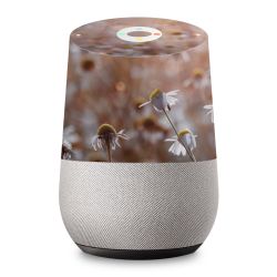 Foils for Smart Home matt