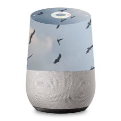 Foils for Smart Home matt