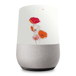 Foils for Smart Home matt