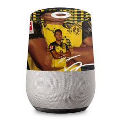 Foils for Smart Home matt