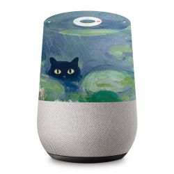 Foils for Smart Home matt