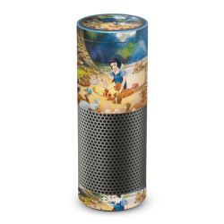 Foils for Smart Home matt