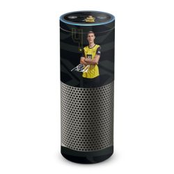 Foils for Smart Home matt