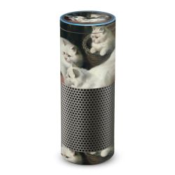 Foils for Smart Home matt