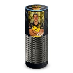 Foils for Smart Home matt