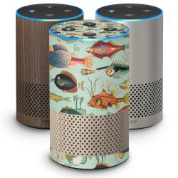 Foils for Smart Home matt