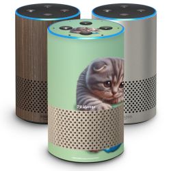 SkinVinyyli Smart Home mat