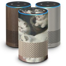 SkinVinyyli Smart Home mat