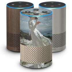 SkinVinyyli Smart Home mat