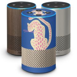 Foils for Smart Home matt