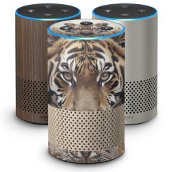 Foils for Smart Home matt