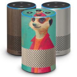 Foils for Smart Home matt