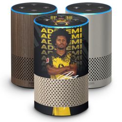 SkinVinyyli Smart Home mat