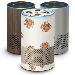 Foils for Smart Home matt