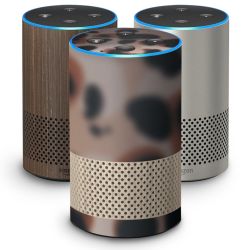 Foils for Smart Home matt