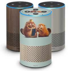 Folier Smart Home matt