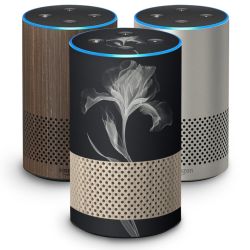 Folier Smart Home matt