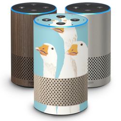 Folier Smart Home matt