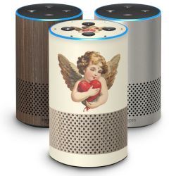 Foils for Smart Home matt